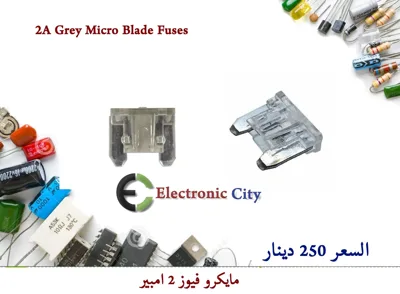 2A Grey Micro Blade Fuses  12018510