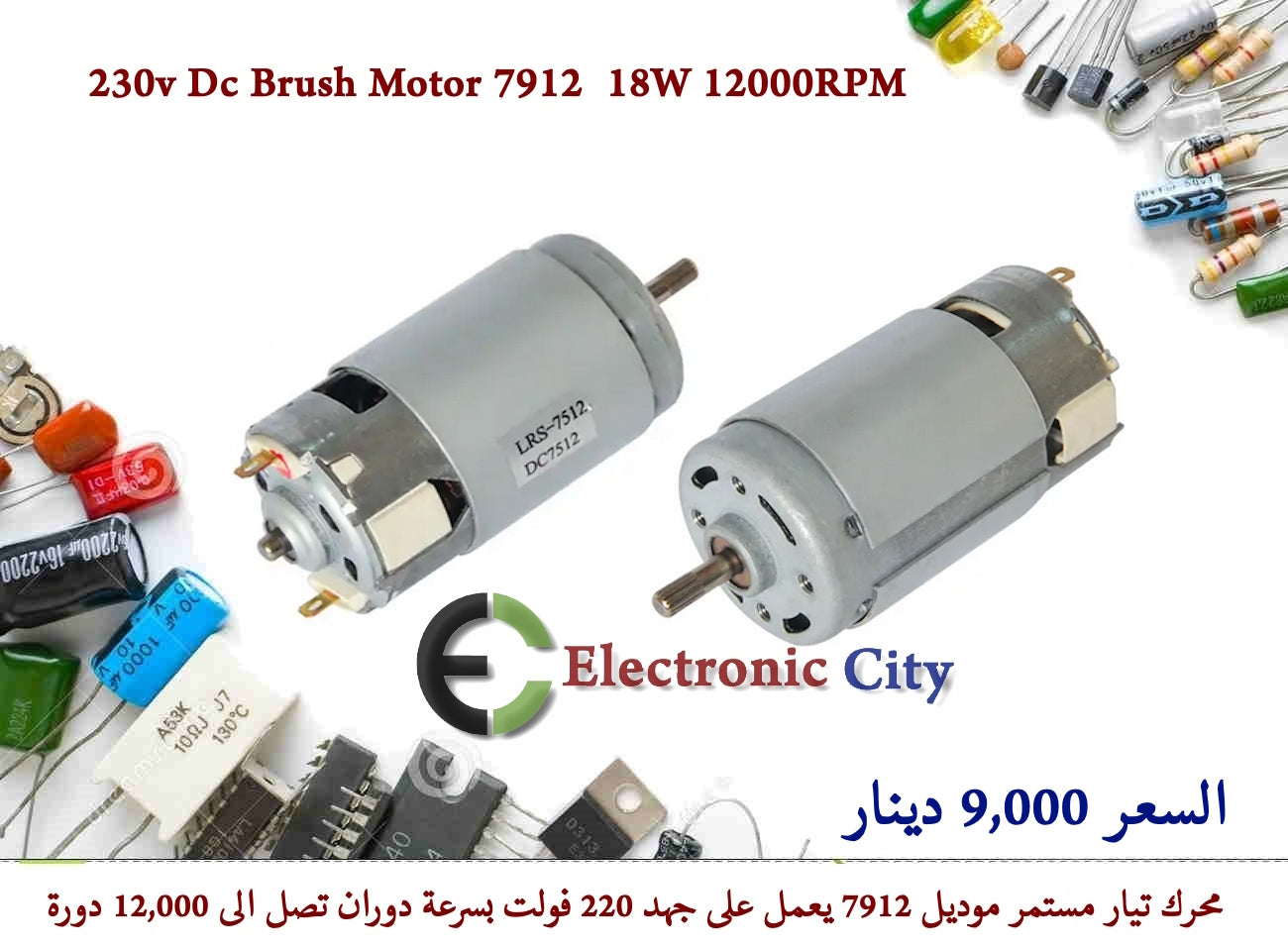 230v Dc Brush Motor 7912 18W 12000RPM #T12