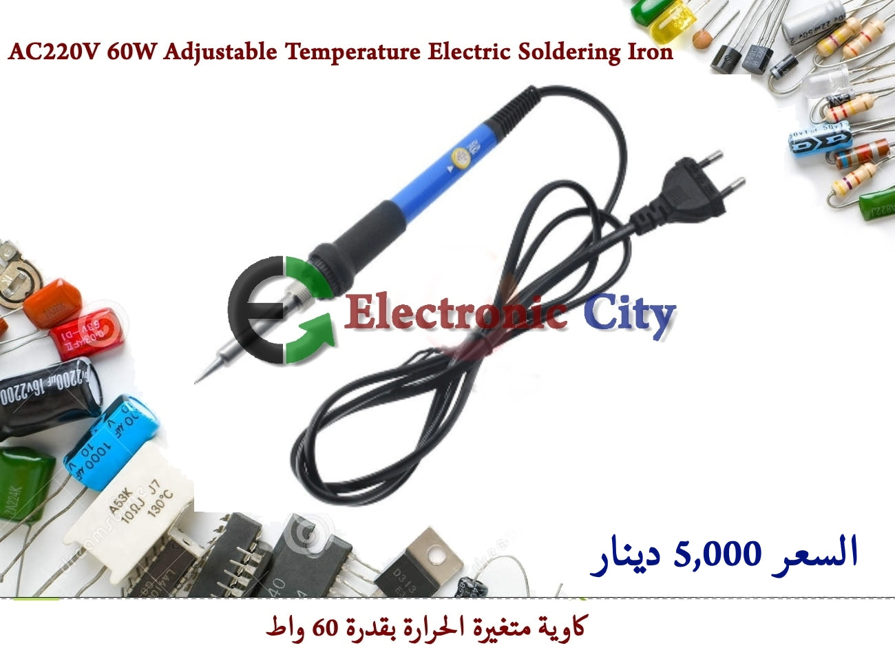 AC 220V 60W Adjustable Temperature Electric Soldering Iron #A2 050578