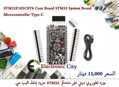 STM32F103C8T6 Core Board STM32 System Board Microcontroller Type-C #Q12 GJBG0002-002