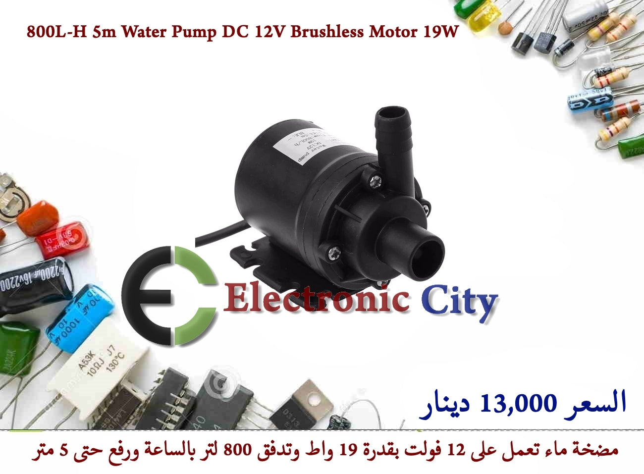 800L-H 5m Water Pump DC 12V Brushless Motor 19W #I1 050919-02
