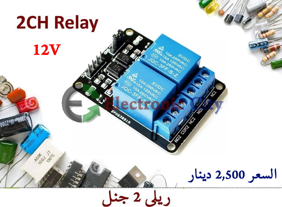Relay 2Ch 12V #M2 010624