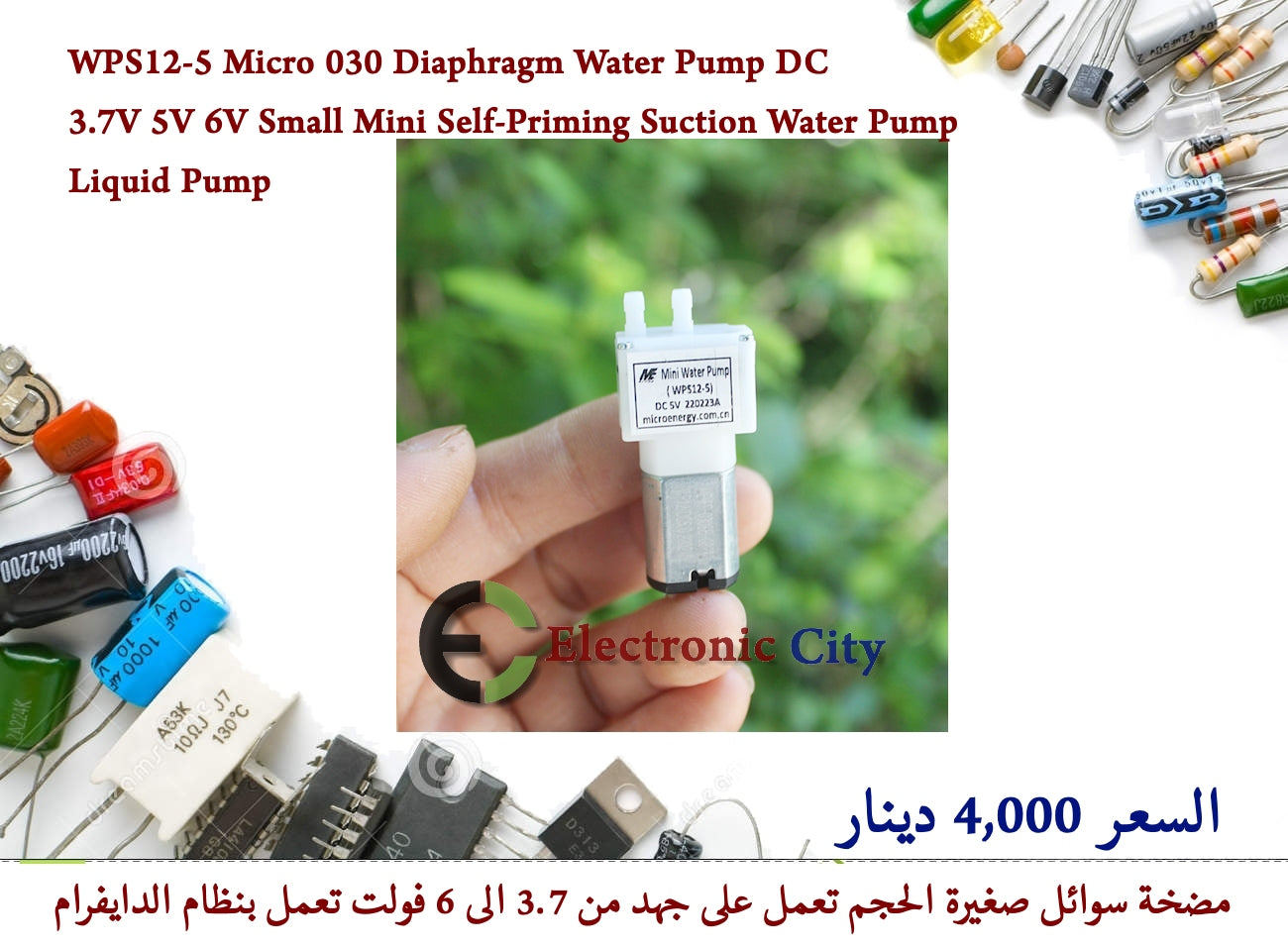 WPS12-5 Micro 030 Diaphragm Water Pump DC 3.7V 5V 6V Small Mini Self-Priming Suction Water Pump Liquid Pump   #X2   012765