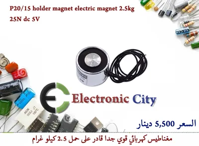 P20-15 holder magnet electric magnet 2.5kg lift 25N dc 5v  #R3  Y-JM0054A