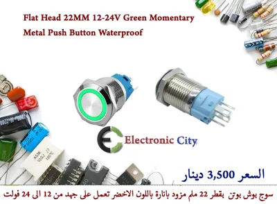 Flat Head 22MM 12-24V Green Momentary Metal Push Button Waterproof #B7 012624