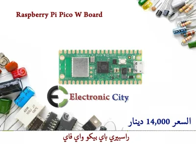 Raspberry Pi Pico W Board  012671