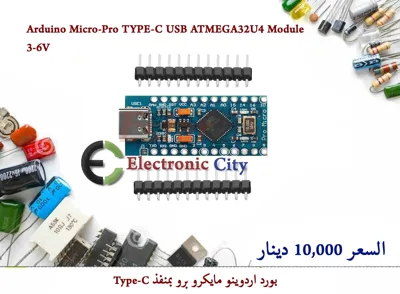 Arduino Micro-Pro TYPE-C USB ATMEGA32U4 Module 3-6V    #S6  12245