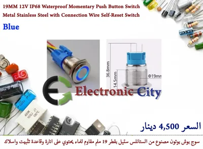 19MM 12V IP68 Waterproof Momentary Push Button Switch Metal Stainless Steel with Connection Wire Self-Reset Switch Blue #B7 X52103LA