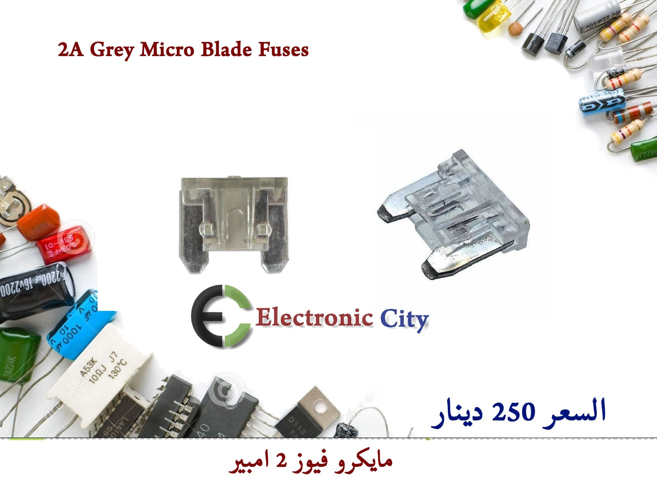 2A Grey Micro Blade Fuses  12018510