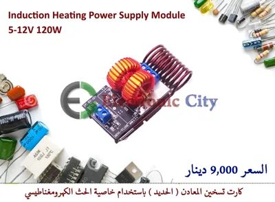 Voltage Induction Heating Power Supply Module 5-12V 120W #L7 012236