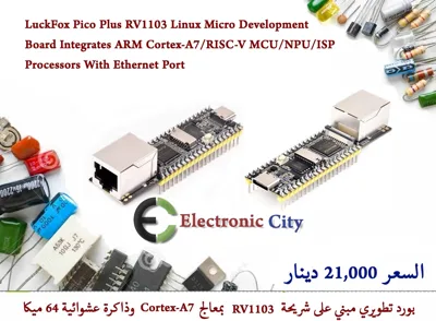 LuckFox Pico Plus RV1103 Linux Micro Development Board Integrates ARM Cortex-A7/RISC-V MCU/NPU/ISP Processors With Ethernet Port   #N5  012493