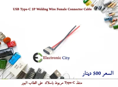 USB Type-C 2P Welding Wire Female Connector Cable #DD1