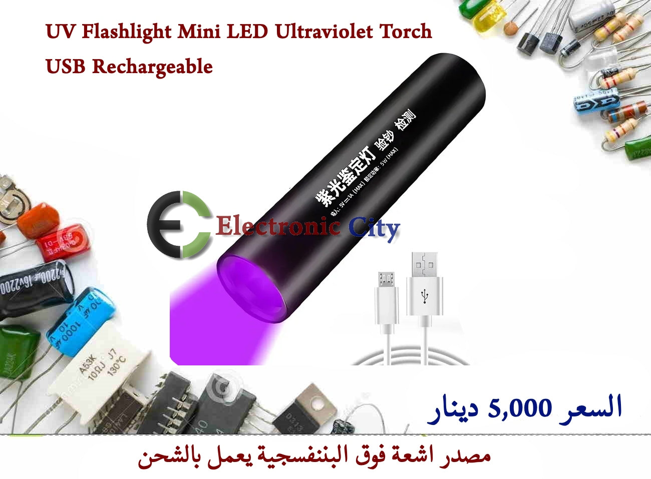 UV Flashlight Mini LED Ultraviolet Torch USB Rechargeable #ZZ6 CDAA0020-007