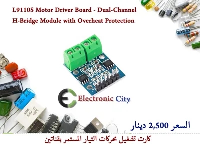 L9110S Motor Driver Board - Dual-Channel H-Bridge Module with Overheat Protection #S9 012745