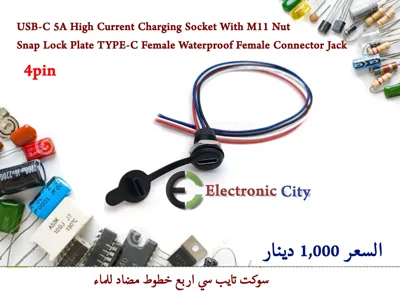 USB-C 5A High Current Charging Socket With M11 Nut Snap Lock Plate TYPE-C Female Waterproof Female Connector Jack 4Pin 012664 #W11