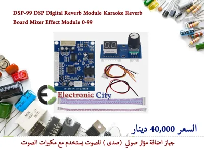 DSP-99 DSP Digital Reverb Module Karaoke Reverb Board Mixer Effect Module 0-99 #N1  55883