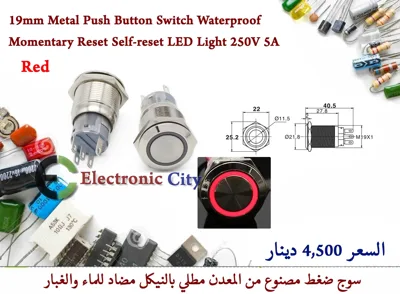 19mm Metal Push Button Switch Waterproof Momentary Reset Self-reset LED Light 250V 5A Red #B7 X52475