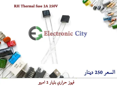 RH Thermal fuse 2A 250V  #AA8