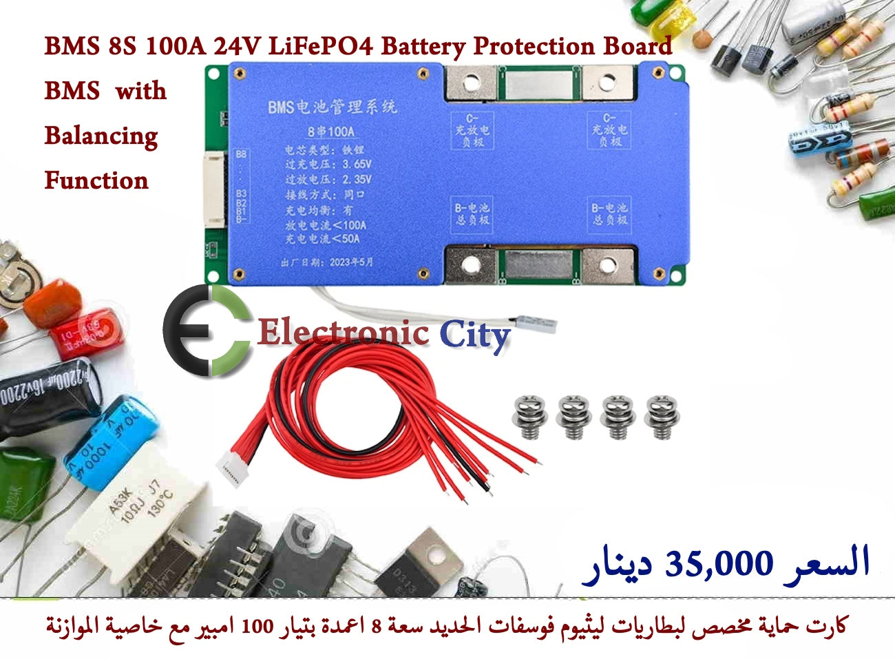 BMS 8S 100A 24V LiFePO4 Battery Protection Board BMS  with Balancing Function  #V6 012654